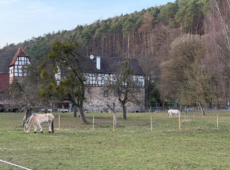 Wasserburg Schloß-Nauses, Otzberg, Germany, Germany